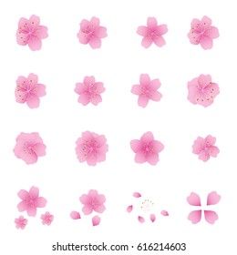 Sakura flowers icon set , cherry blossom vector illustration