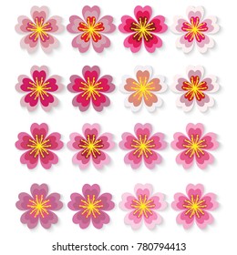 Sakura flowers icon set , cherry blossom vector illustration