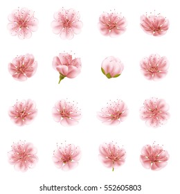 Sakura flowers icon set isolated. EPS 10 vector file included