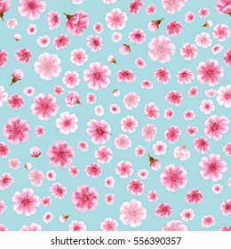 Sakura flowers isolated on white. Seamless pattern. Full blossom traditional asian cherry tree flowers. Japanese cherry Prunus serrulata. Cherry blossom. Pink flowers. EPS 10 vector file included