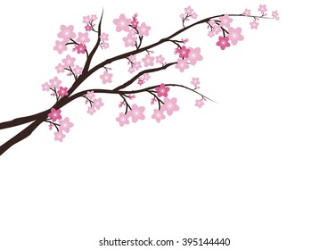 Sakura  flowers japan  background.