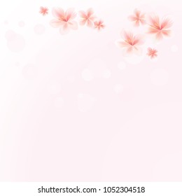 Sakura flowers on Pink bokeh background. Apple-tree flowers. Cherry blossom. Vector EPS 10 cmyk