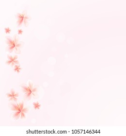 Sakura flowers on Pink bokeh background. Apple-tree flowers. Cherry blossom. Vector EPS 10 cmyk