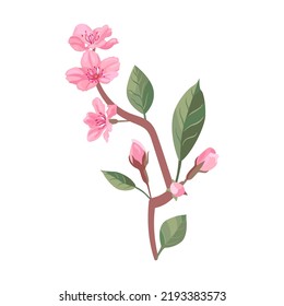 Sakura flowers petals, cherry or peach tree branches with leaves. Flat vector illustrations for spring in Asia, nature, blooming