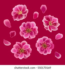 Sakura flowers and petals decorative set. Japanese cherry blossom. Vector eps 10.