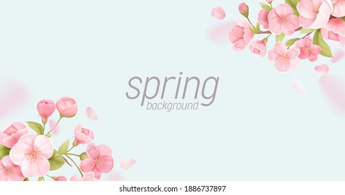 Sakura Flowers Realistic Floral Banner. Cherry Blossom Vector Greeting Card Design. Spring Flower Illustration Background, Exotic Poster Template, Voucher, Brochure, Flyer