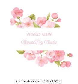 Sakura flowers realistic floral banner. Cherry blossom vector wedding card design. Spring flower illustration background, exotic poster template, voucher, brochure, flyer