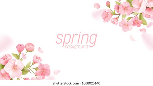 桜の花のリアルな花のバナー 桜の花のベクター画像グリーティングカードデザイン 春の花のイラスト背景 エキゾチックなポスターテンプレート 伝票 パンフレット チラシ のベクター画像素材 ロイヤリティフリー Shutterstock