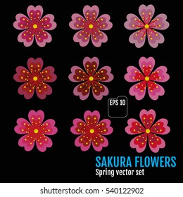 Sakura flowers set , cherry blossom