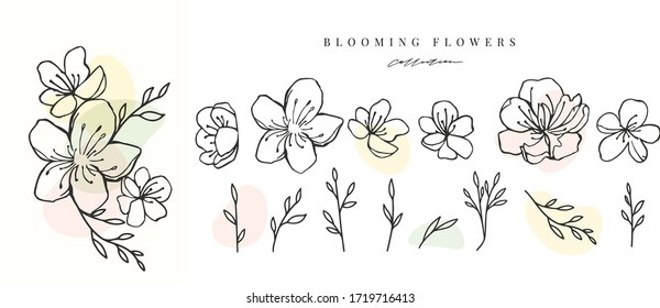 Sakura flowers set. Spring ink collection. Can use for logo, birthday party invitation, greeting card, banner, print design.