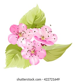 Sakura flowers. Spring background.