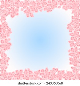 Sakura flowers  Spring  background frame place for text  vector illustration