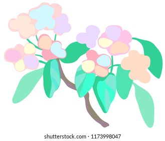 Sakura flowers vector graphics