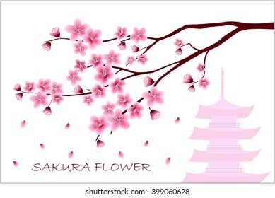 Sakura flowers vector illustration. 
invitation cards with a blossom sakura. 
Branch of a blossoming cherry tree isolated on a white background. The branch of the cherry blossoms with pagoda.