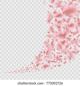 Sakura flying downwind petals on wind isolated on transparent background. And also includes EPS 10 vector