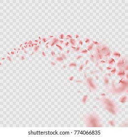 Sakura flying downwind petals on wind isolated on transparent background. And also includes EPS 10 vector