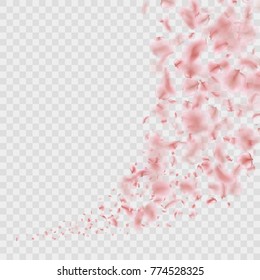 Sakura flying downwind petals on wind isolated on transparent background. And also includes EPS 10 vector