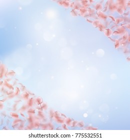 Sakura flying downwind petals on wind. And also includes EPS 10 vector