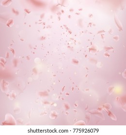 Sakura flying downwind petals on wind. And also includes EPS 10 vector