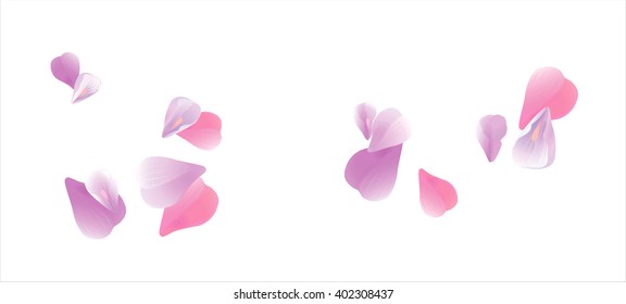 Sakura flying petals isolated on white background. Vector