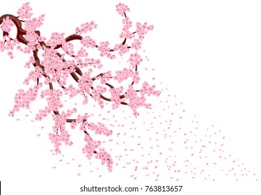 飛び散る花びらを持つ桜 ピンクの小さな花と桜の芽を持つ桜の木の 枝を曲げた枝 ベクターイラストレーター のベクター画像素材 ロイヤリティフリー