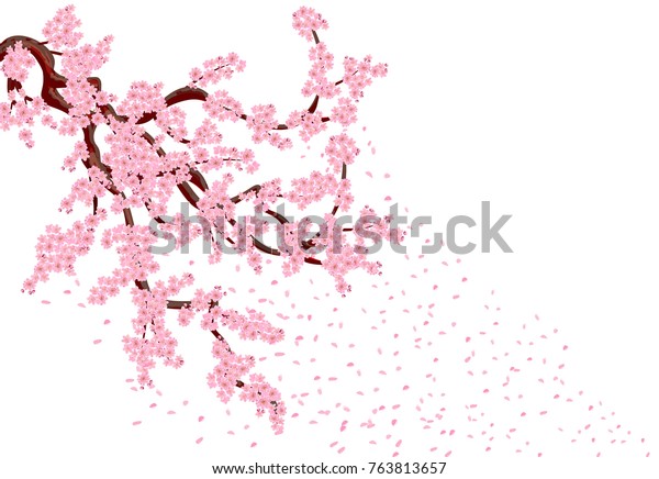 飛び散る花びらを持つ桜 ピンクの小さな花と桜の芽を持つ桜の木の 枝を曲げた枝 ベクターイラストレーター のベクター画像素材 ロイヤリティフリー