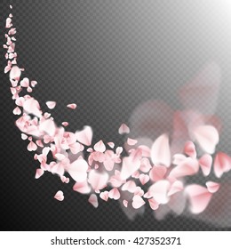 Sakura flying petals on dark background. EPS 10 vector file included