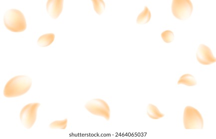 Sakura flying petals on transparent background.
