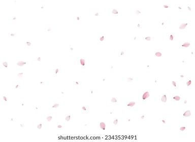 Sakura flying petals, romantic background