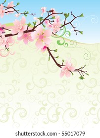 sakura frame vector