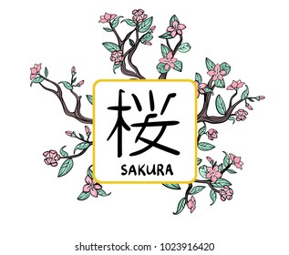 Sakura frame, vector illutration, isolated on white background