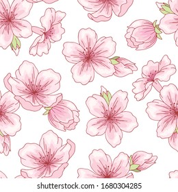 Sakura graphic flower pink color seamless pattern background sketch illustration vector