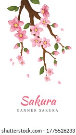 Sakura. Greeting card banner or invitation card with blossom sakura flowers. Blooming flowers illustration wedding invitation template