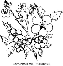sakura hand drawn cherry blossom lines japanese tree
