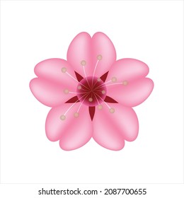 Sakura Hibiscus pink Flower, Valentine’s Day, Mother’s Day and happiness  icon isolated on white background. Use for text emoji emotion expression reactions chat comment social media app smart phone