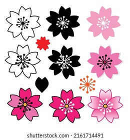 Sakura icon on white background