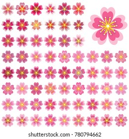 Sakura Icon Vector Art, Stock Vector, Cherry blossom icon set