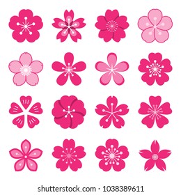 Sakura icons. Collection of 16 colored Japanese cherry blossom symbols isolated on a white background. Vector illustration