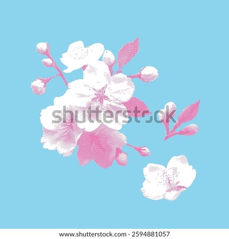 Sakura illustration, lines on light blue background.
