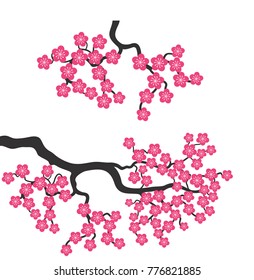 Sakura japan cherry branch