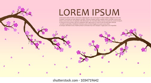 Sakura japan cherry branch with blooming flowers vector illustration, Sakura flowers background, Cherry blossom branch with petals falling isolated on white.  vector illustration