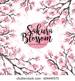 Sakura japan cherry branch with blooming flowers vector illustration. Hand drawn style.
