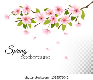 Sakura japan cherry branch with a pink flowers on transparent background. Vector