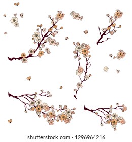 Sakura Japanese flower.cherry blossom or peach blossom vector for tattoo isolate on white background.