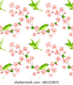 Sakura and Japanese white-eye green bird on white background.