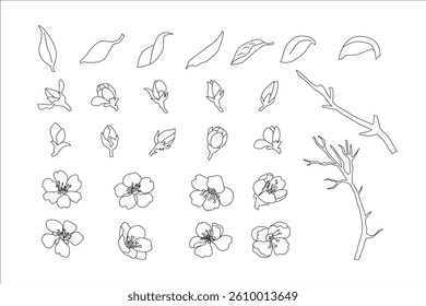 Sakura Line Art Elements: Delicate Cherry Blossoms, Branches, Petals. Minimalist Vector Outlines for Logos, Tattoos, Packaging. Scalable, Editable, Serene Japanese Aesthetic.