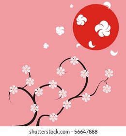 Sakura  lobes