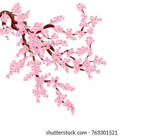 Sakura Lush Curved Branches Cherry Tree Stock Vector (Royalty Free ...