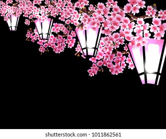 Sakura. Magnificent branches of a cherry tree with purple small flowers on a black background. A series of glowing garden lanterns. Vector illustrator