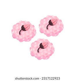 Sakura mochi, cherry blossom rice cake